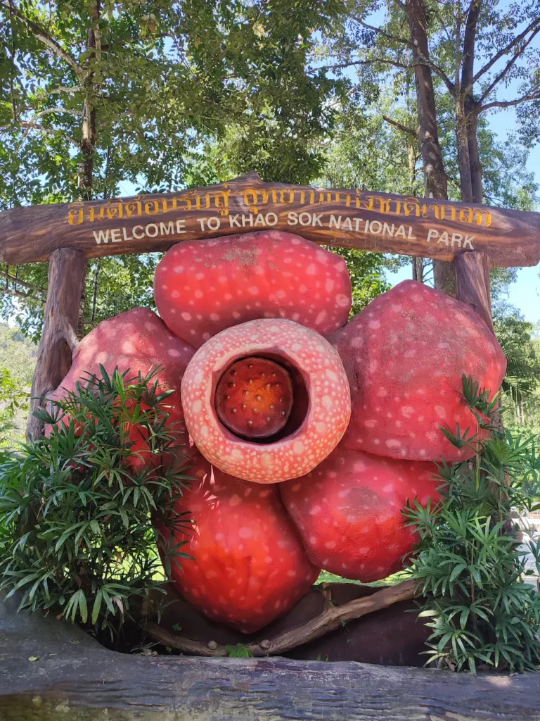 Fából készült Welcome to Khao Sok National Park tábla egy óriási piros-fehér Rafflesia virág makettjével és dús zöld növényzettel – a Dream Journey szóló utazás Khao Sok-i megérkezésének kiemelt képe.