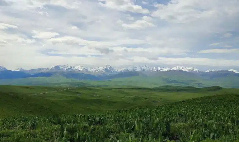 Zöldellő völgy és hófödte hegyvonulatok az Almaty régióban Kazahsztánban, utazási kisokos szóló utazóknak.